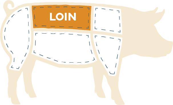 pig illustration showing loin cut
